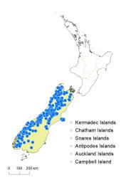 Veronica lyallii distribution map based on databased records at AK, CHR & WELT.
 Image: K.Boardman © Landcare Research 2022 CC-BY 4.0